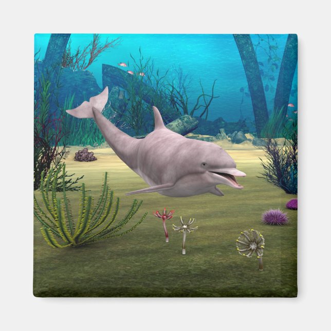 Smiling Dolphin Magnet (Front)