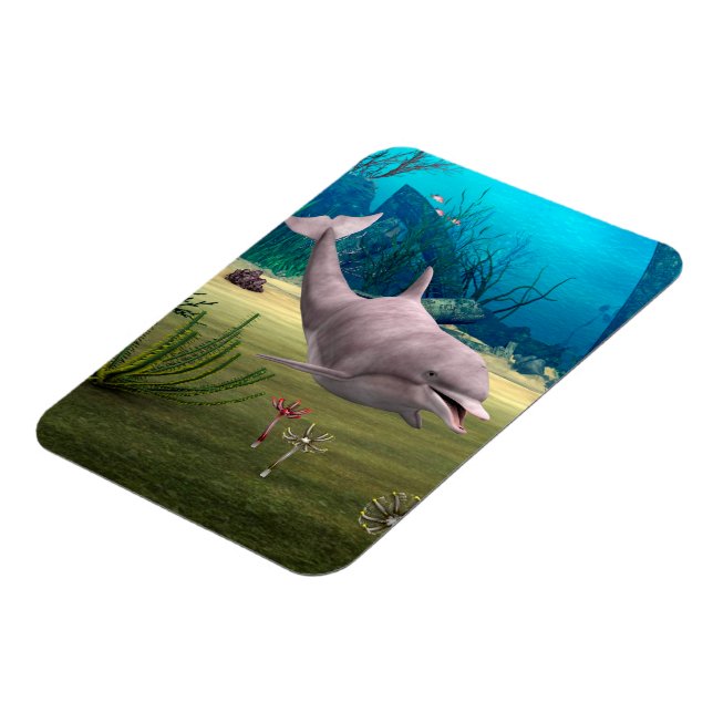 Smiling Dolphin Magnet (Left Side)