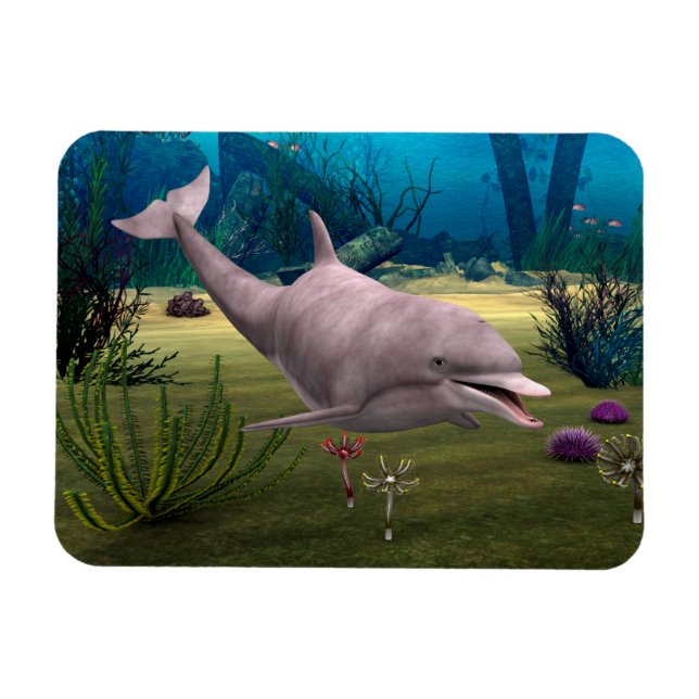 Smiling Dolphin Magnet (Horizontal)