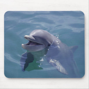 Smiling Dolphin Mouse Pad