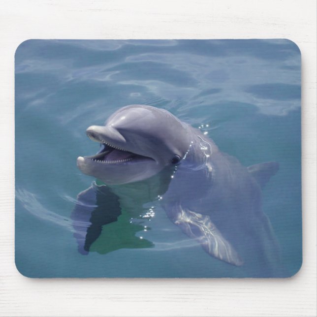 Smiling Dolphin Mouse Pad (Front)