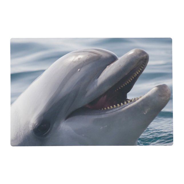 Smiling Dolphin Placemat (Front)