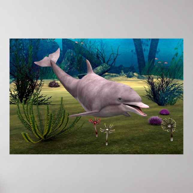 Smiling Dolphin Poster (Front)