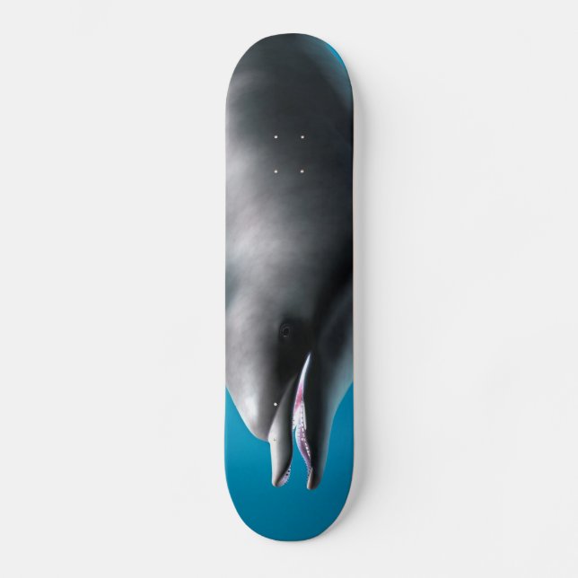 Smiling Dolphin Skateboard Deck (Front)