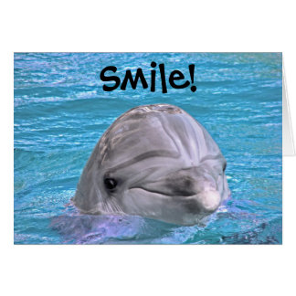 Smiling Dolphin - Smile! Cards