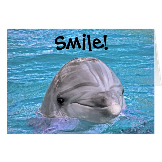 Smiling Dolphin - Smile! Cards (Front Horizontal)