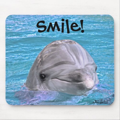 Smiling Dolphin _ Smile Mouse Pad