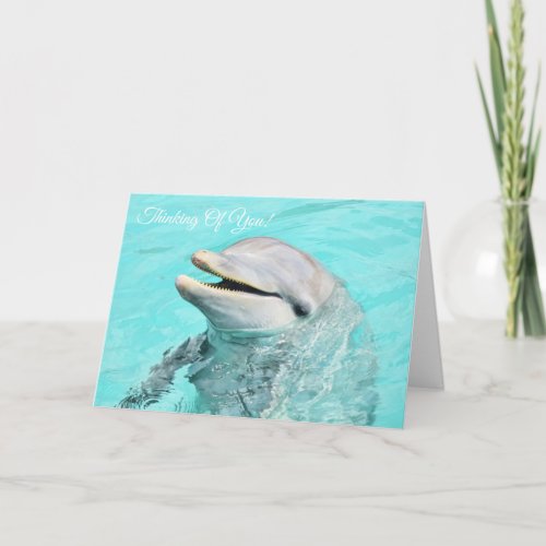 Smiling Dolphin Thinking Of You Card