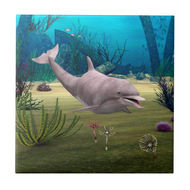 Smiling Dolphin Tile (Front)