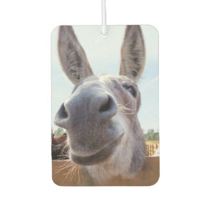 Smiling Donkey Air Freshener