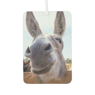 Smiling Donkey Air Freshener