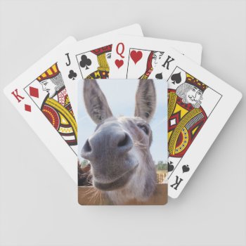Smiling Donkey Bicycle With Silly Grin On His Face Playing Cards by ICandiPhoto at Zazzle