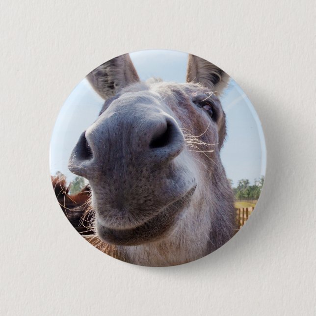 Smiling Donkey Button (Front)