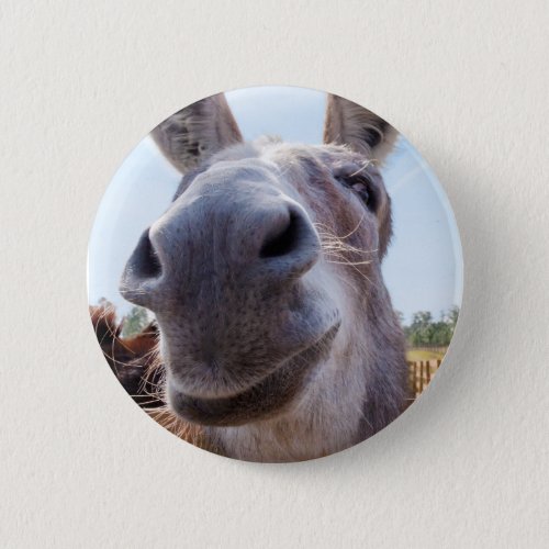 Smiling Donkey Button