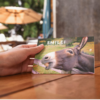 Smiling Donkey Custom Text Funny Photo Postcard