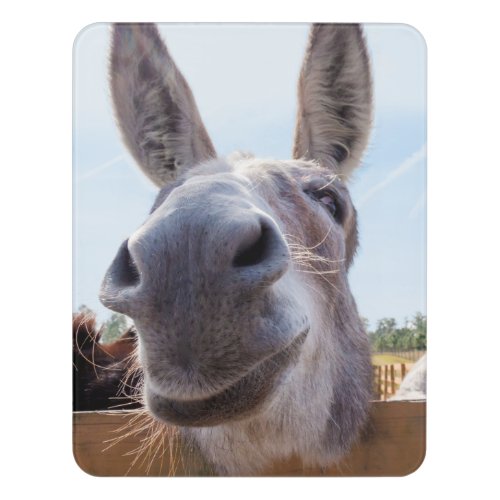 Smiling Donkey Door Sign