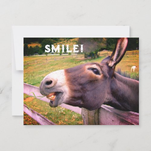 Smiling Donkey in a pasture customizable Postcard