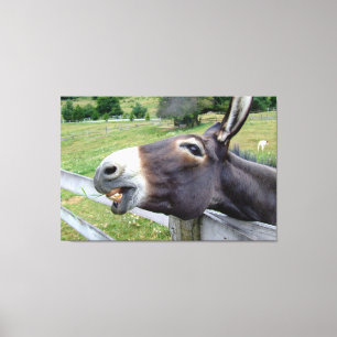 Smiling Donkey in pasture with dog Canvas Print