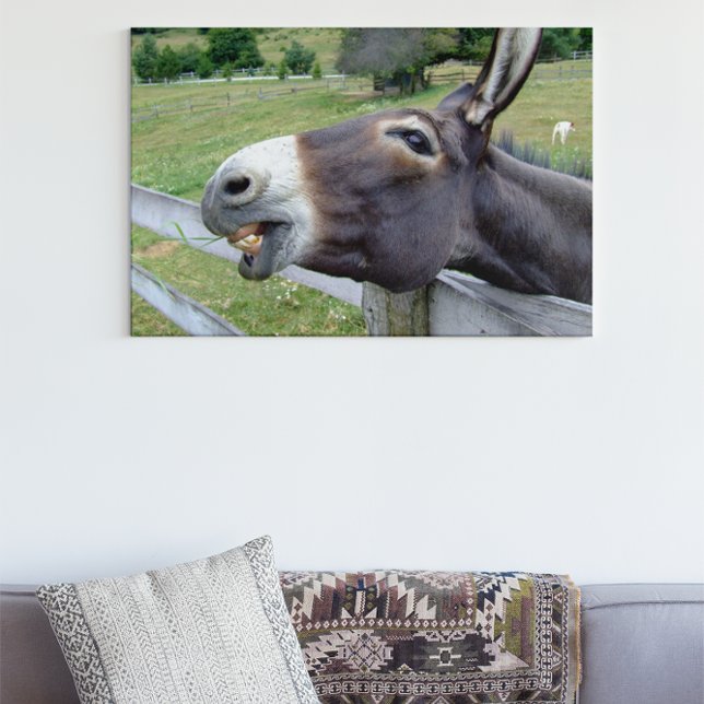Smiling Donkey in pasture with dog Metal Print (Creator Uploaded)