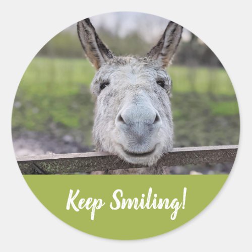 Smiling Donkey Keep Smiling Button Classic Round Sticker