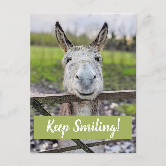 Smiling Donkey "Keep Smiling" Postcard (Front)