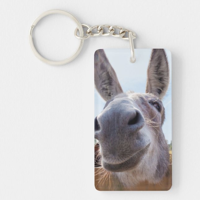 Smiling Donkey Keychain (Front)