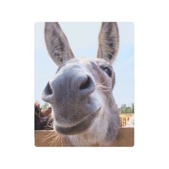 Smiling Donkey Metal Print by ICandiPhoto at Zazzle