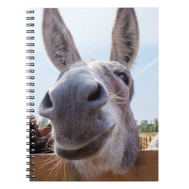 Smiling Donkey Notebook (Front)