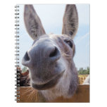 Smiling Donkey Notebook at Zazzle