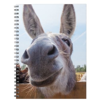Smiling Donkey Notebook by ICandiPhoto at Zazzle