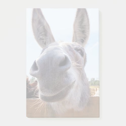 Smiling Donkey Notes