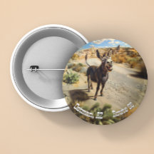 Smiling donkey, Oatman Arizona, Route 66