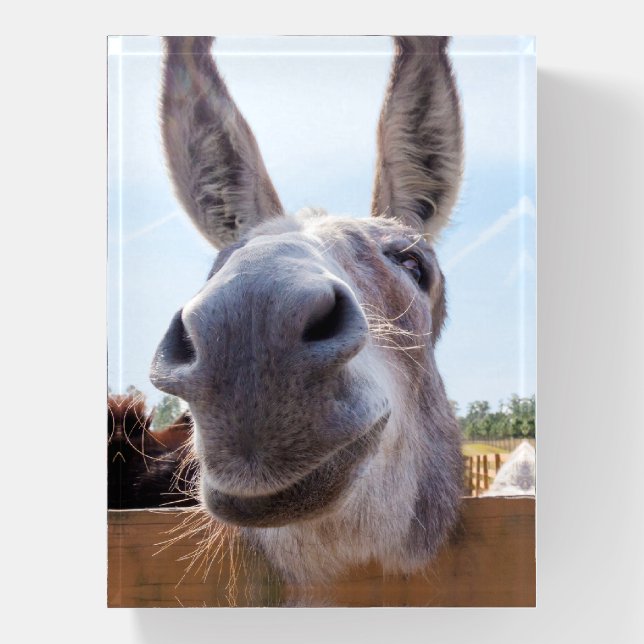 Smiling Donkey Paperweight (Vertical)