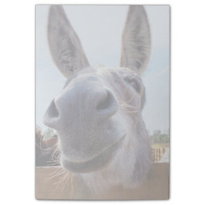 Smiling Donkey Post-It Notes