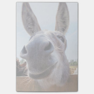 Smiling Donkey Post-It Notes