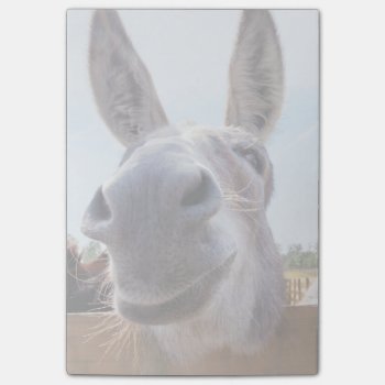 Smiling Donkey Post-it Notes by ICandiPhoto at Zazzle
