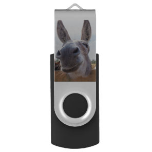 Smiling Donkey USB Drive