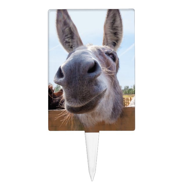 Smiling Donkey with a Silly Grin Cake Topper (Front)