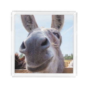 Smiling Donkey with Silly Grin Acrylic Tray