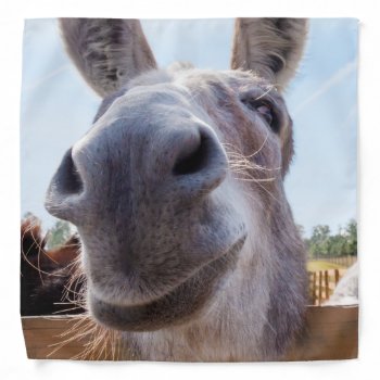 Smiling Donkey With Silly Grin Bandana by ICandiPhoto at Zazzle