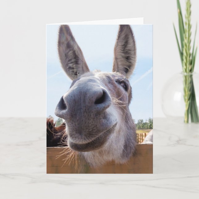 Smiling Donkey with Silly Grin Card (Front)
