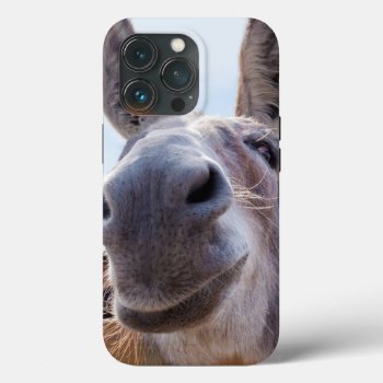 Smiling Donkey With Silly Grin Iphone 13 Pro Case by ICandiPhoto at Zazzle