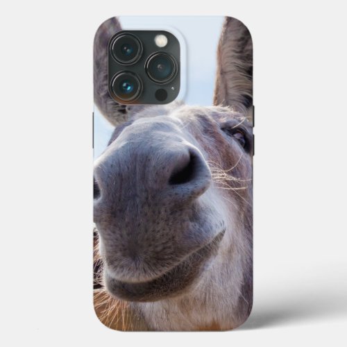 Smiling Donkey with Silly Grin iPhone 13 Pro Case