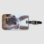 Smiling Donkey With Silly Grin Luggage Tag at Zazzle