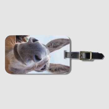 Smiling Donkey With Silly Grin Luggage Tag by ICandiPhoto at Zazzle