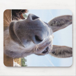 Smiling Donkey with Silly Grin Mouse Pad