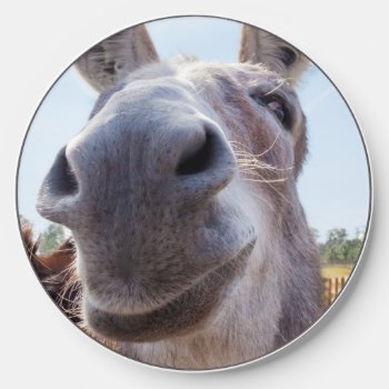 Smiling Donkey With Silly Grin Wireless Charger by ICandiPhoto at Zazzle