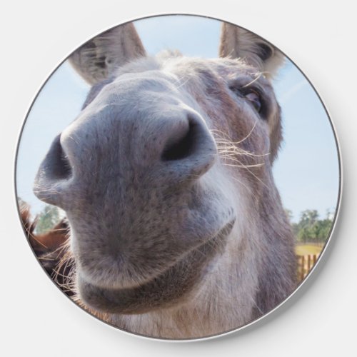 Smiling Donkey with Silly Grin Wireless Charger