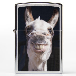 Smiling Donkey Zippo Lighter - Donkey Photography