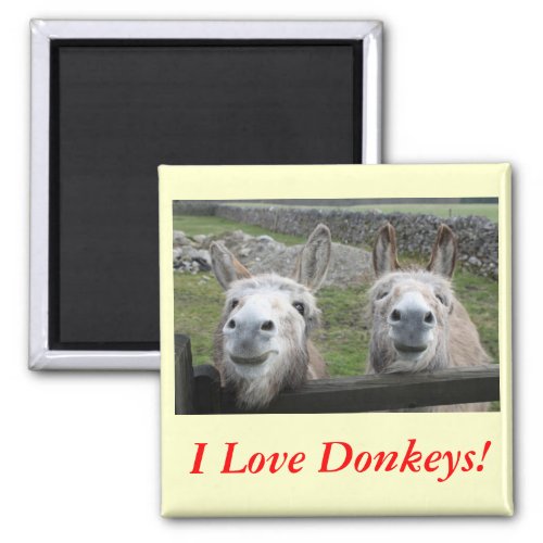 Smiling Donkeys Magnet